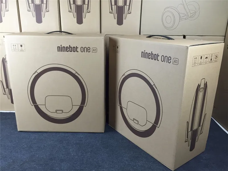 Real Photo of Ninebot One A1 (3)