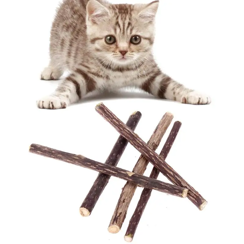 

5pcs Natural Catnip Matatabi for Cats Cleaning Teeth Pure Pet Cat Molar Toothpaste Stick Silvervine Actinidia Snacks Sticks