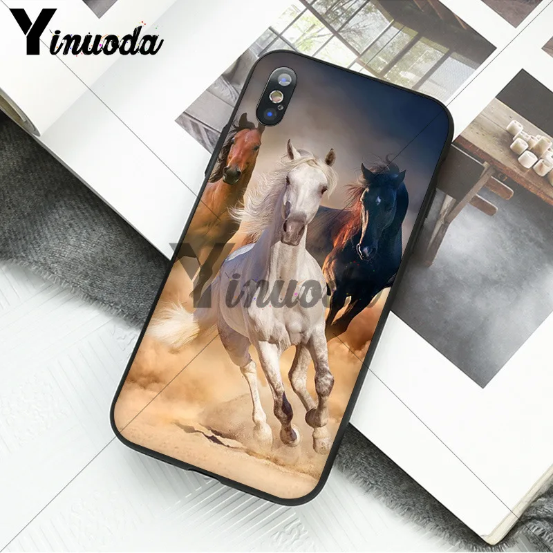 andalusian horse