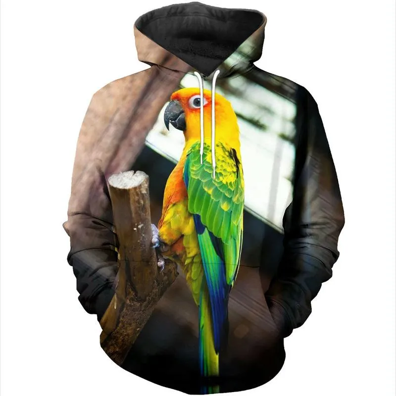 D_c_Sun_Conure_3D_DT231003_NH_800x