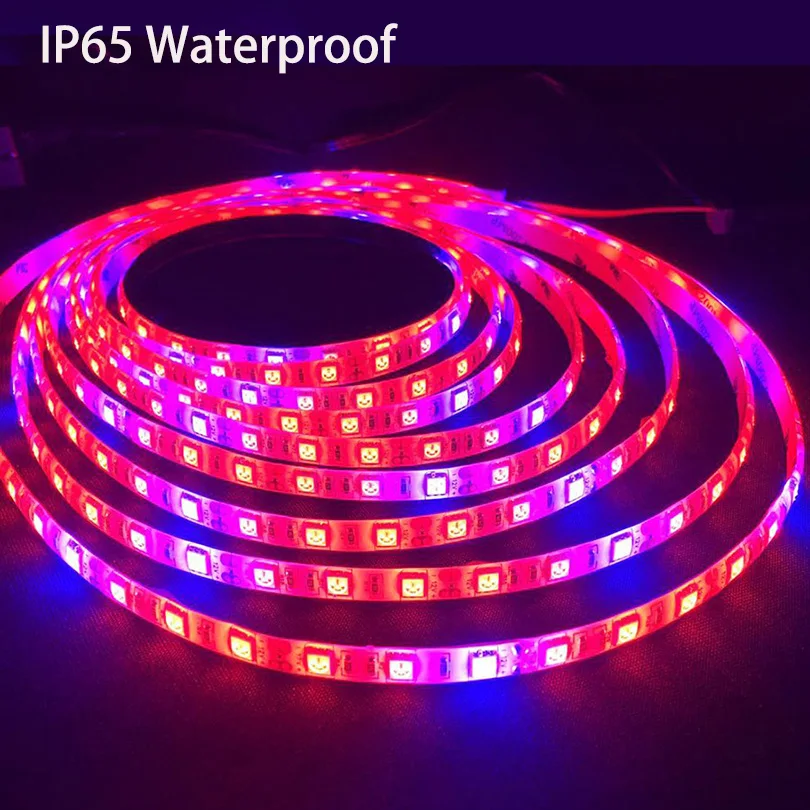 LED-Grow-Lights-5M-60leds-m-DC12V-Growing-LED-Strip-IP65-Waterproof-Plant-Growth-Light-for_ 