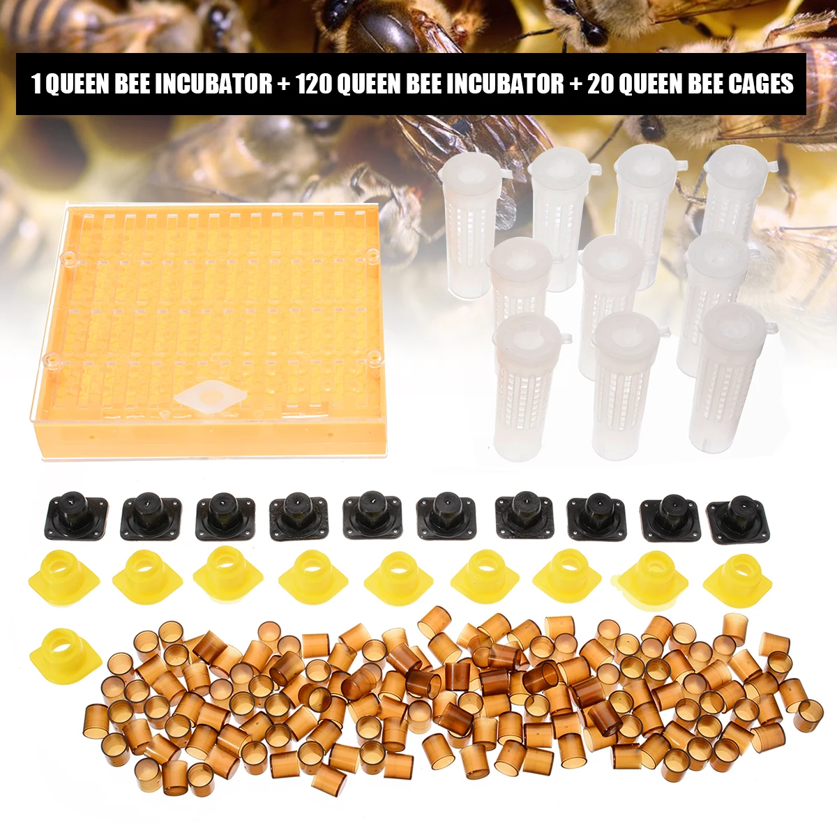 Набор инструментов для пчеловодства, королевская система для выращивания, 1 20 шт, пластиковая коричневая клетка с 20шт клеткой