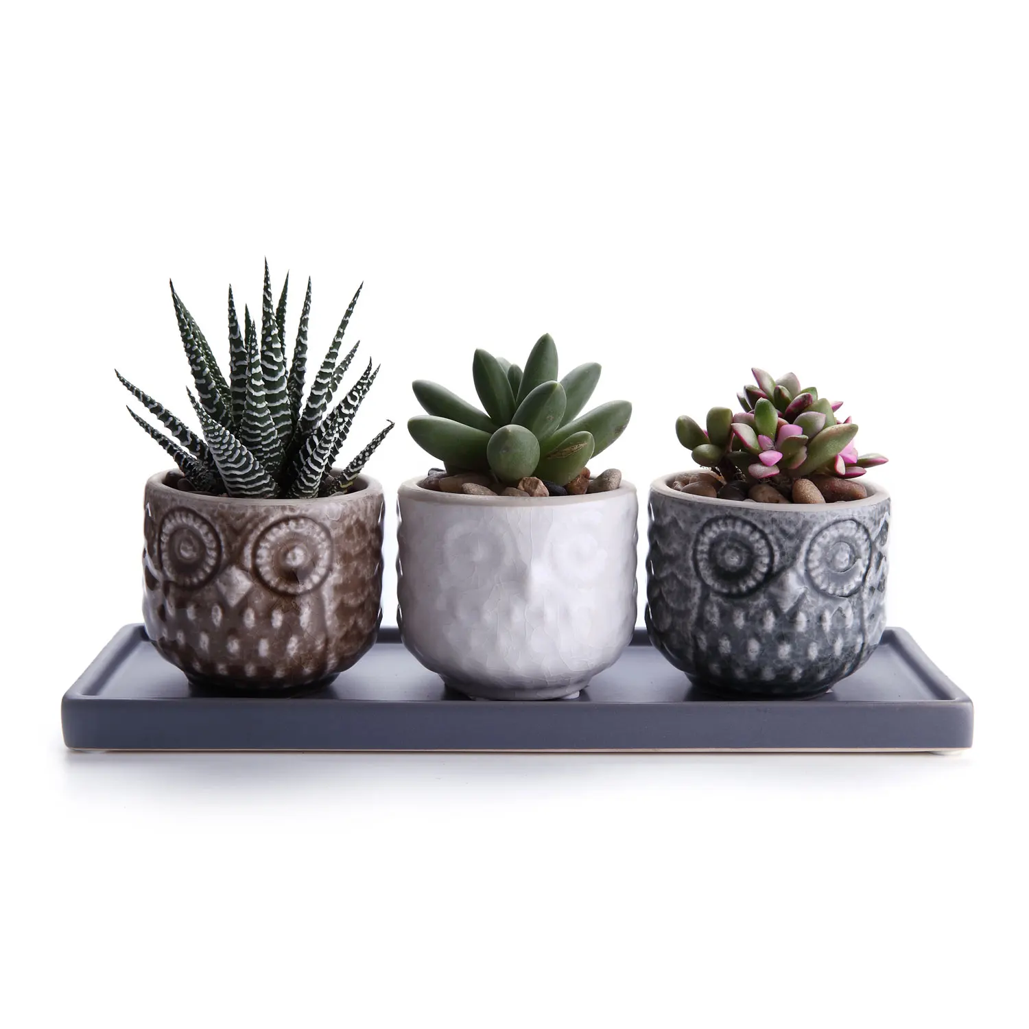 

Bonsai pot Ceramic Flower Pot nordic decoration home Owl Pattern succulent planter Plant Pot Cactus Container Planter with Tray