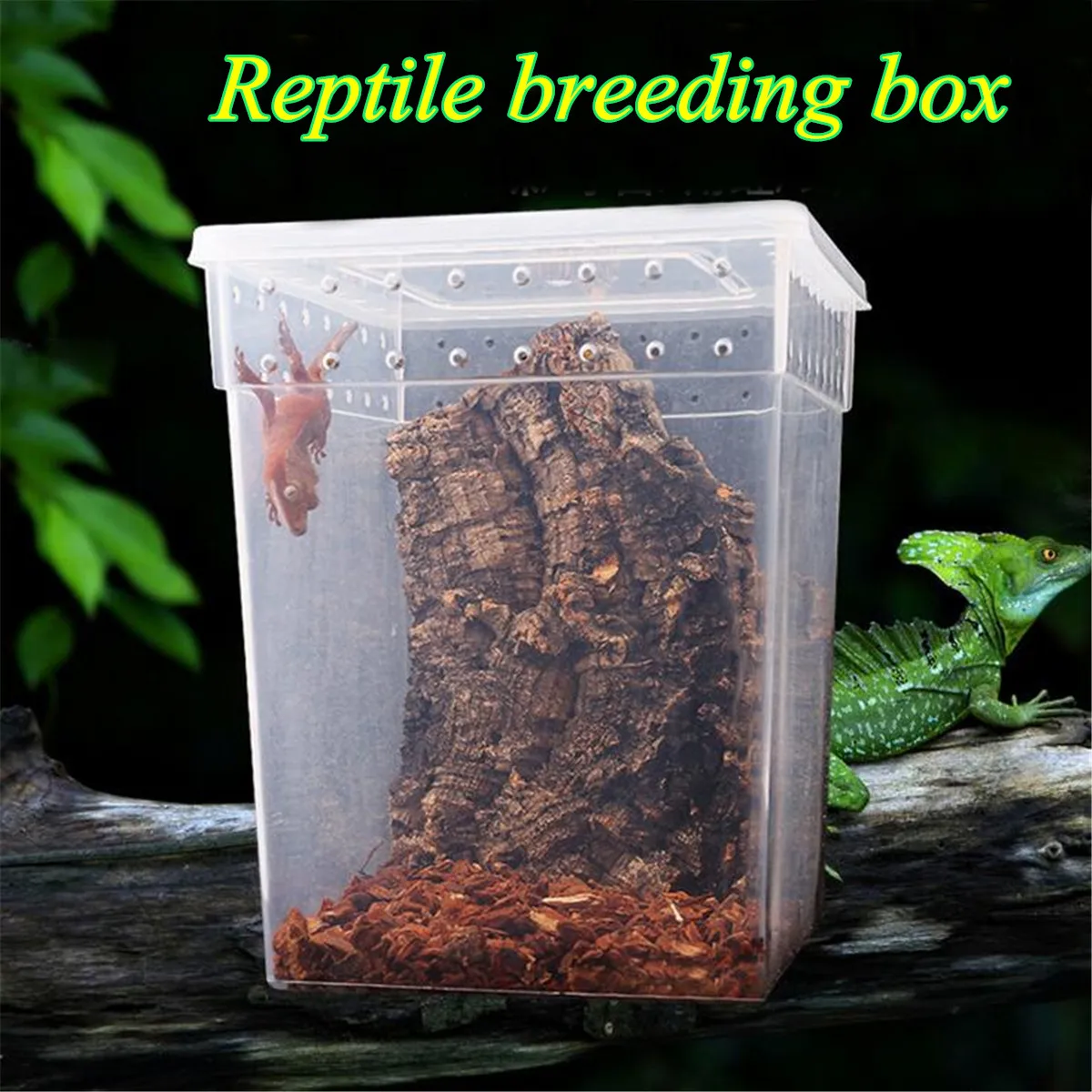 

Transparent Pet Reptiles Feeding Tank Terrariums Insect Lizards Snake Spiders Breeding Boxes Cage House Reptiles Accessories