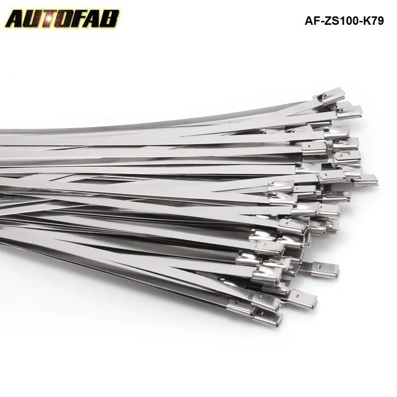 AUTOFAB 100PCS/LOT  Stainless Steel Metal Cable Ties Tie Zip 7.9mmx300mm Wrap Exhaust For Honda 08-12 Accord 2Dr AF-ZS100-K79
