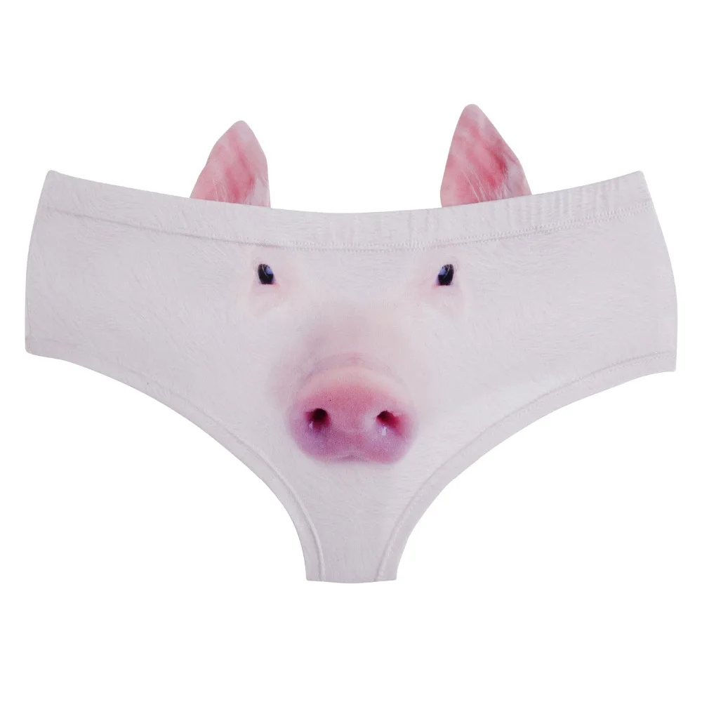 41070 pig (2)