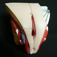 2 Peças Seção Pélvico Feminino Modelo Anatômico anatomia Do Coração modelo mixer em trauma cranioencefálico esqueleto anatomia