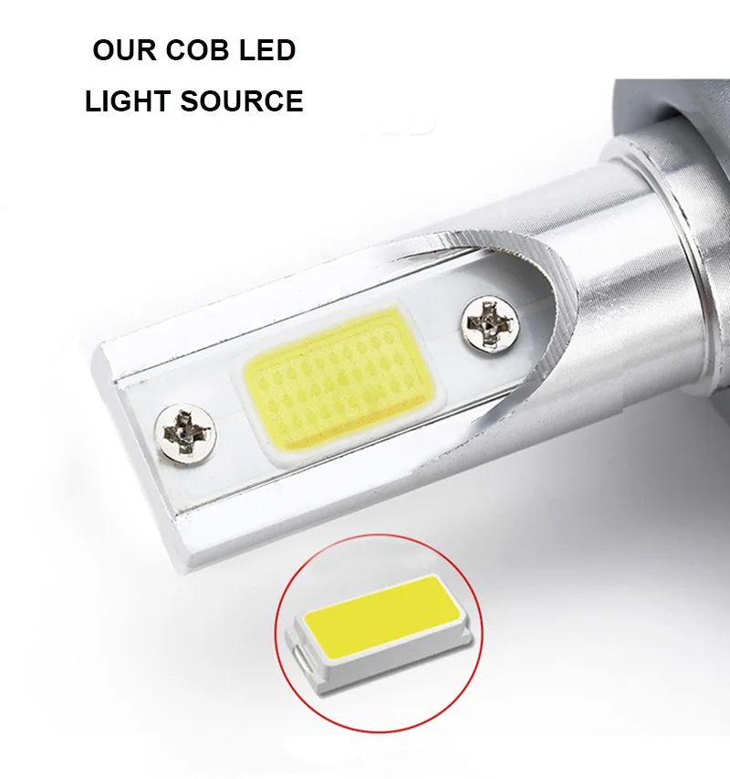 7520697877_1132405437