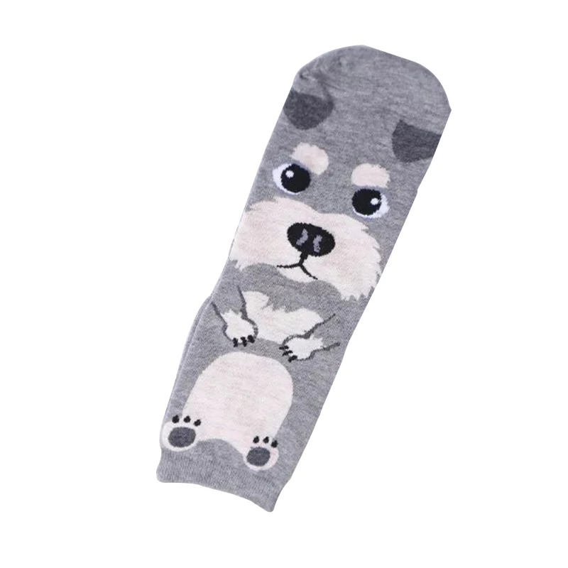 4523303361_297019652