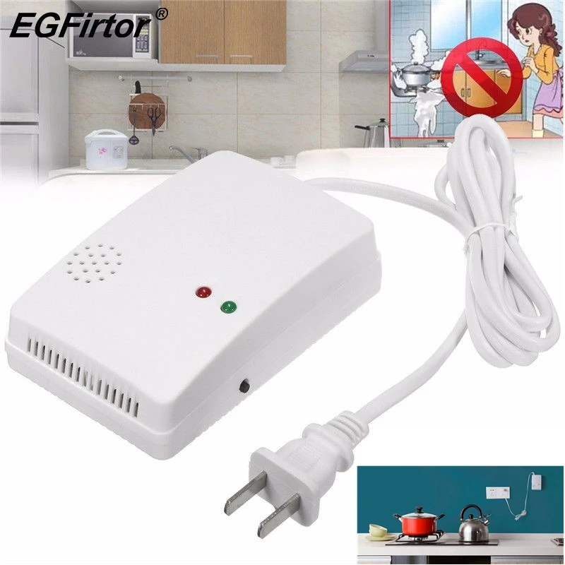 Stand Alone Gas Leakage Detector 1