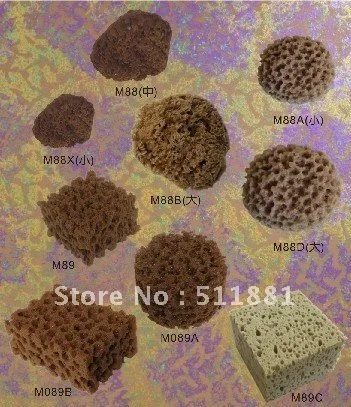 7 ''художественный ограничитель губчатый ролик для морской травы покраски