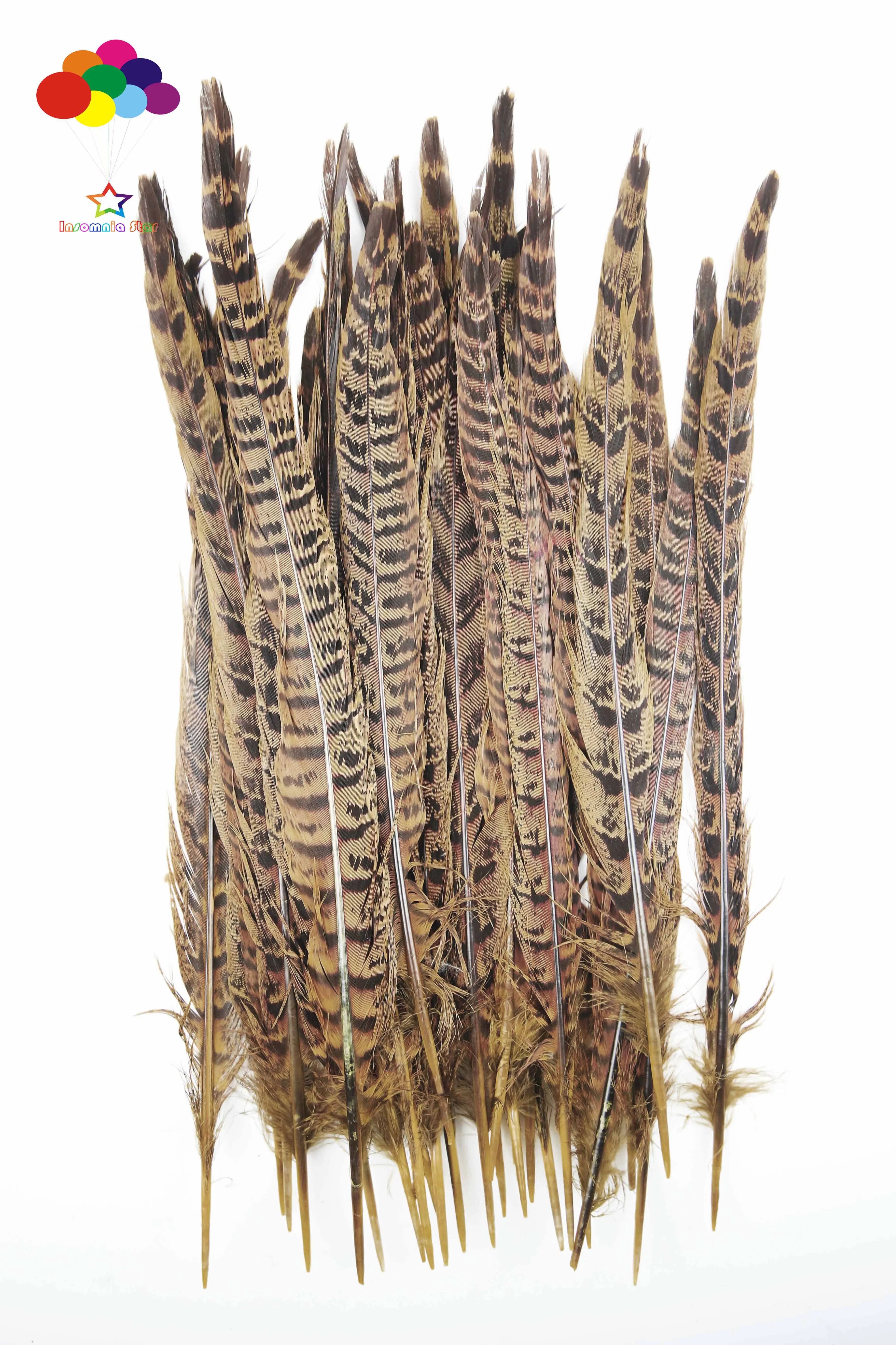 

20-25 cm 8-10inch 100pcs/lot Size Super Quality Natural Ringneck Pheasant Tail Feathers