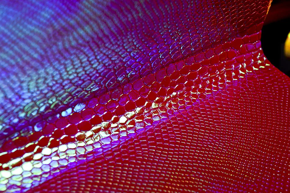 DSC_0175