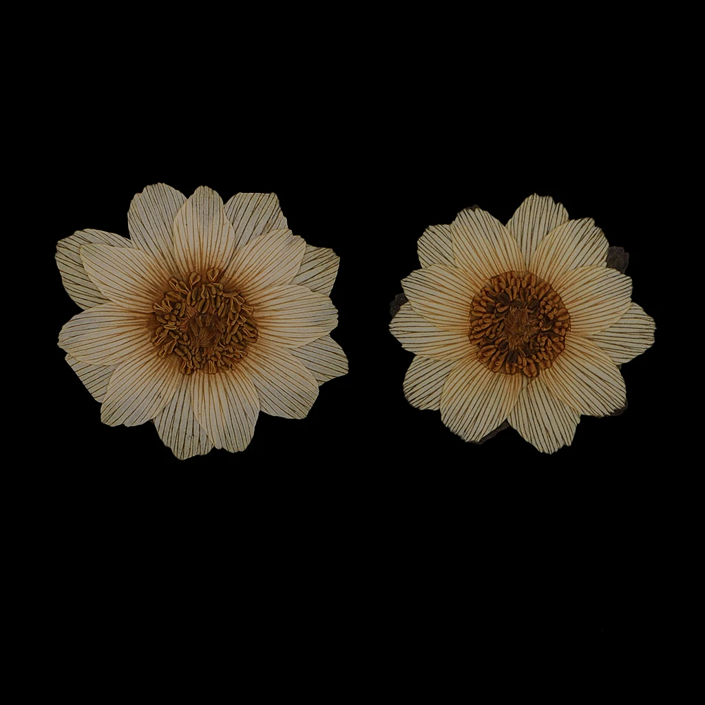 10 Pcs Dried Pressed ICE Flowers For Resin Flower DIY Arts Crafts Supplies