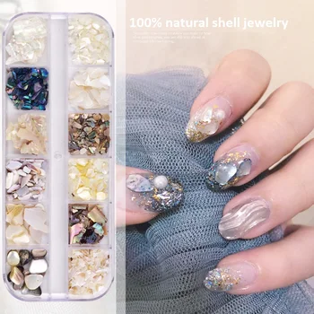 

12 Grids/Set Nail Art Abalone Shell Irregular Abalone Natural Sea Shell Fragments 3D Charm Decoration For UV Gel Acrylic Nails