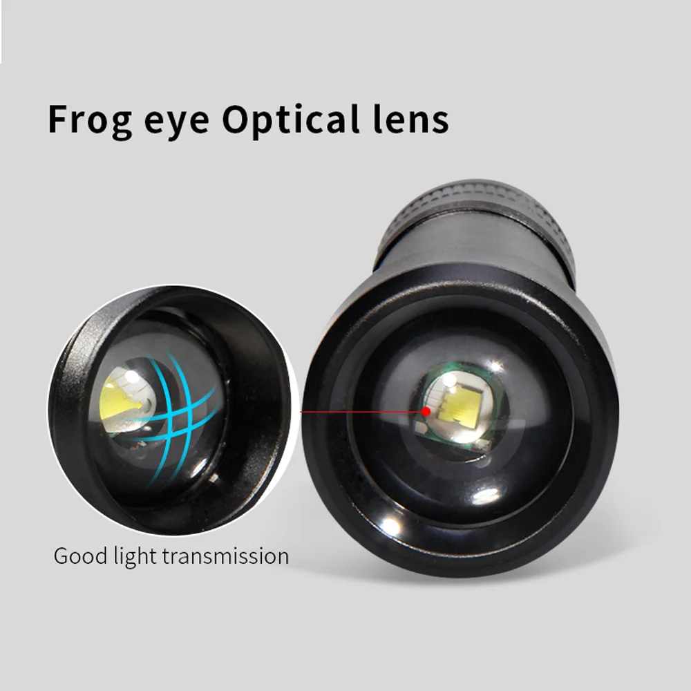 395nm LED UV Flashlight Rechargeable Black Light #4