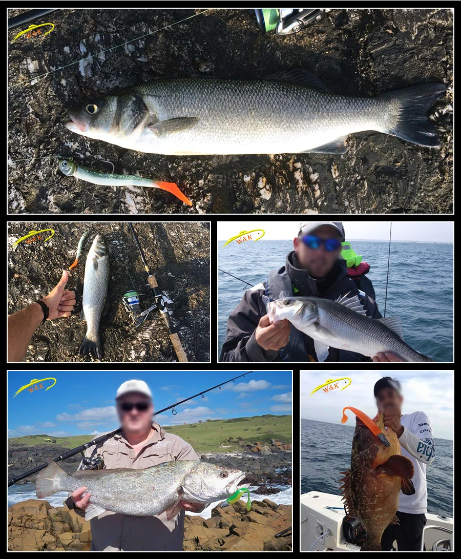 sayori shad details 6