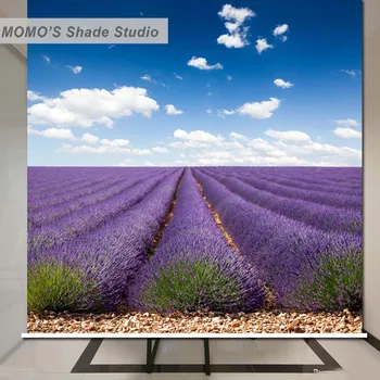 

MOMO Lavender Window Curtains Roller Shades Blinds Thermal Insulated Blackout Fabric Custom Size , Alice 2 (1-3)