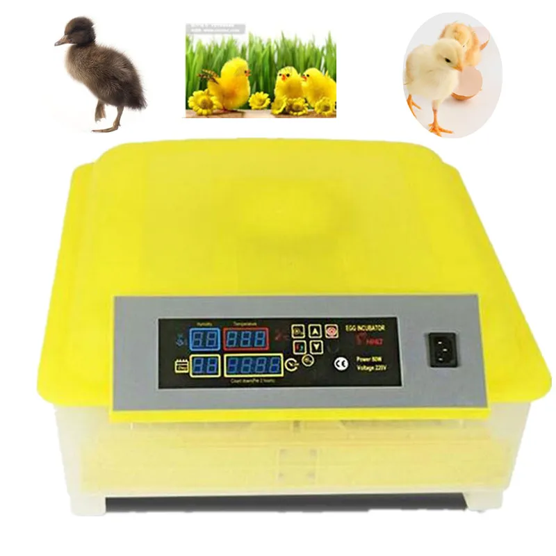 

Newest Digital Temperature Small Brooder Mini 48 Eggs Hatchery Incubator