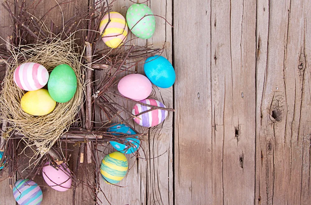 

SHANNY Vinyl Custom Photography Backdrops Prop Easter day theme Photo Studio Background ZONV-1163