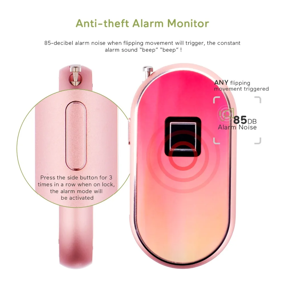Anti-theft Alarm Monitor