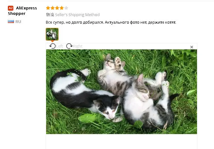 aeProduct.getSubject()