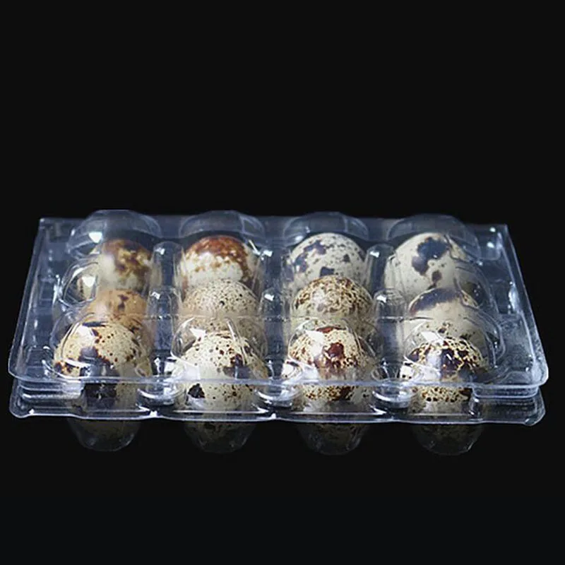 12 Holes Quail Egg Containers Plastic Clear Egg Boxes D28mm/H39mm