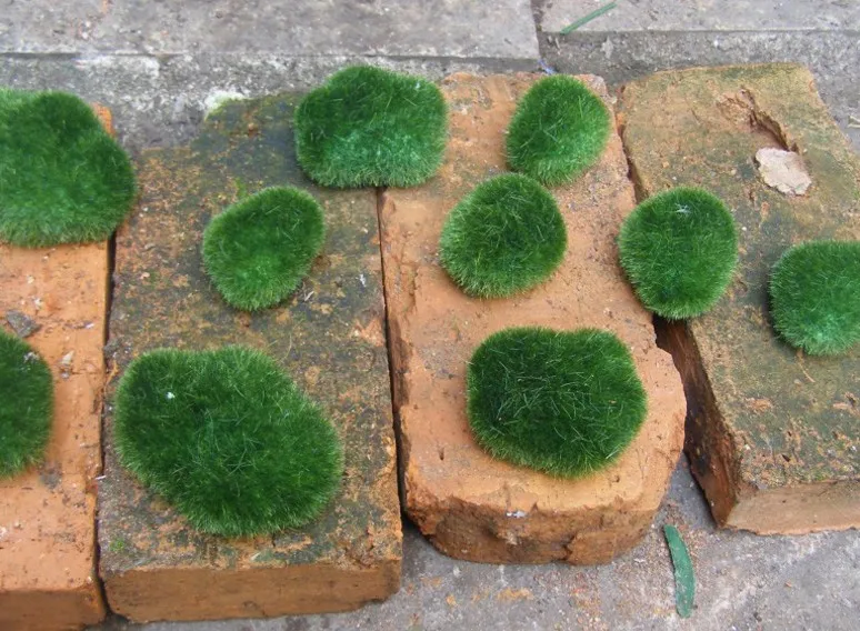 

1pcs garden decoration artificial mini green moss stone home ornaments Mini moss fake rock Garden Ornaments DIY decoration