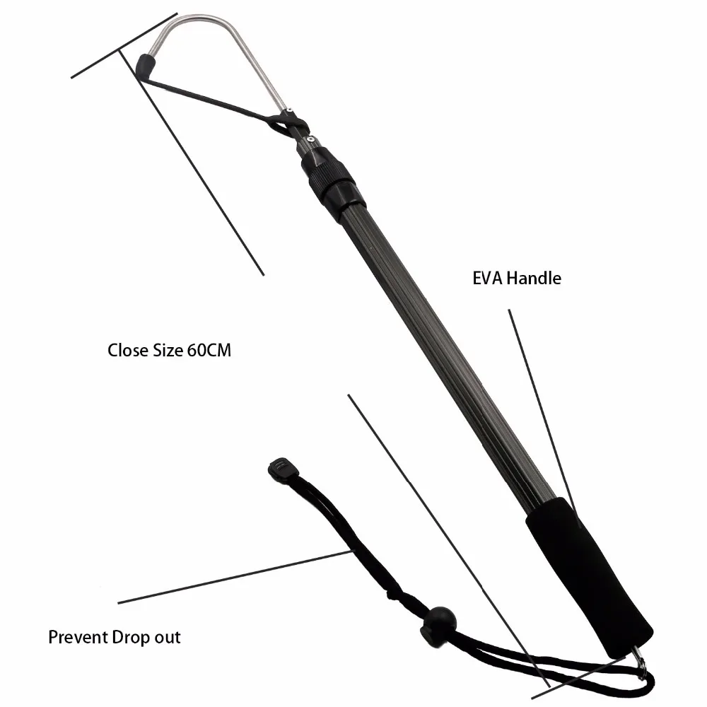 SC-86(1)