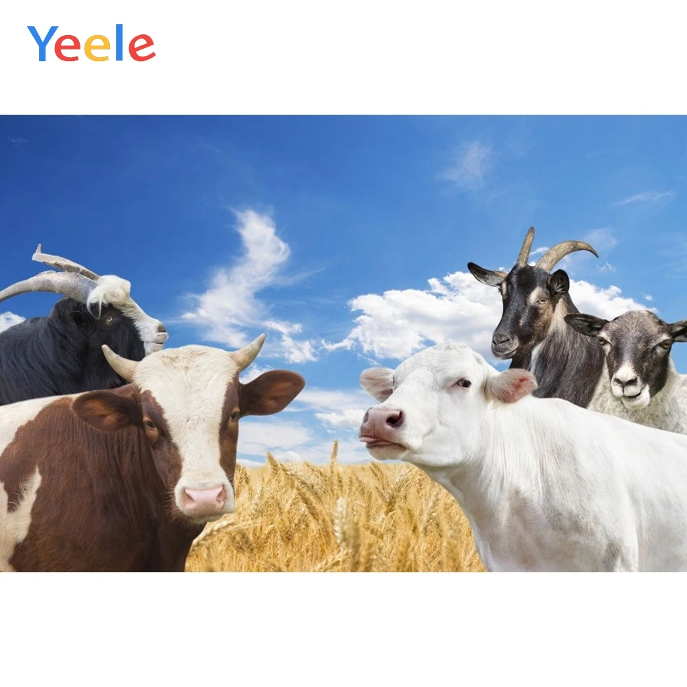

Yeele Vinyl Cattle Sheep Farm Sky Children Birthday Party Photography Background Baby Child Photographic Backdrop Photo Studio