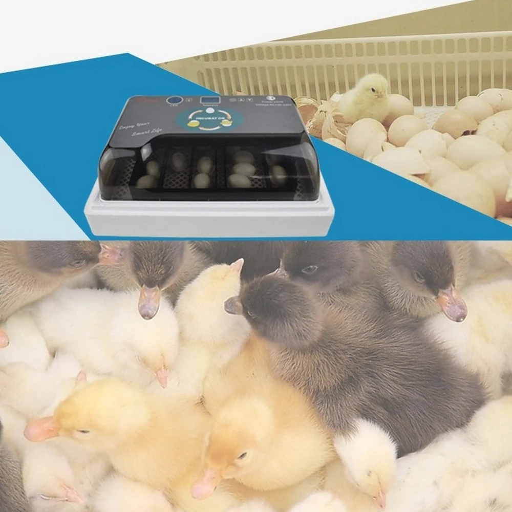 

Automatic Digital 12 Eggs Incubator Hatcher Large Capacity Practical Incubators For Chicken Poultry Quail Eggs Home Use