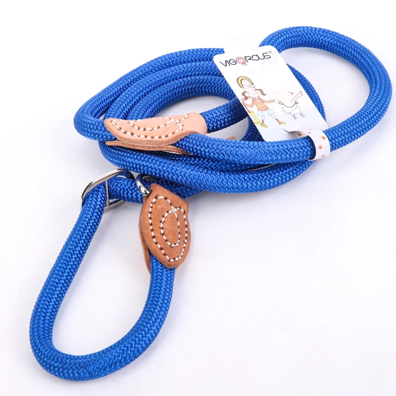 dog leash blue