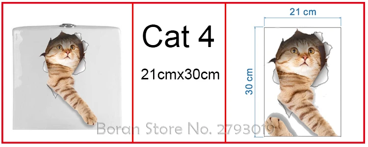 cat 4 -1