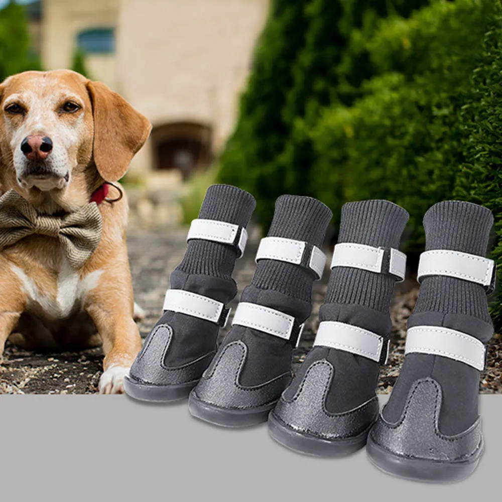 slip on shoes for dog walking
