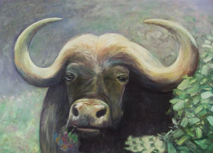 Diamond picture diamond painting Big buffalo kit rhinestone painting