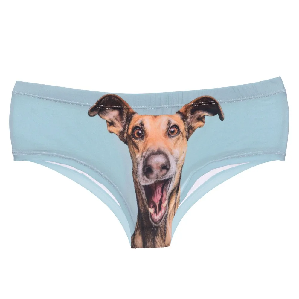 39425 happy dog (3)