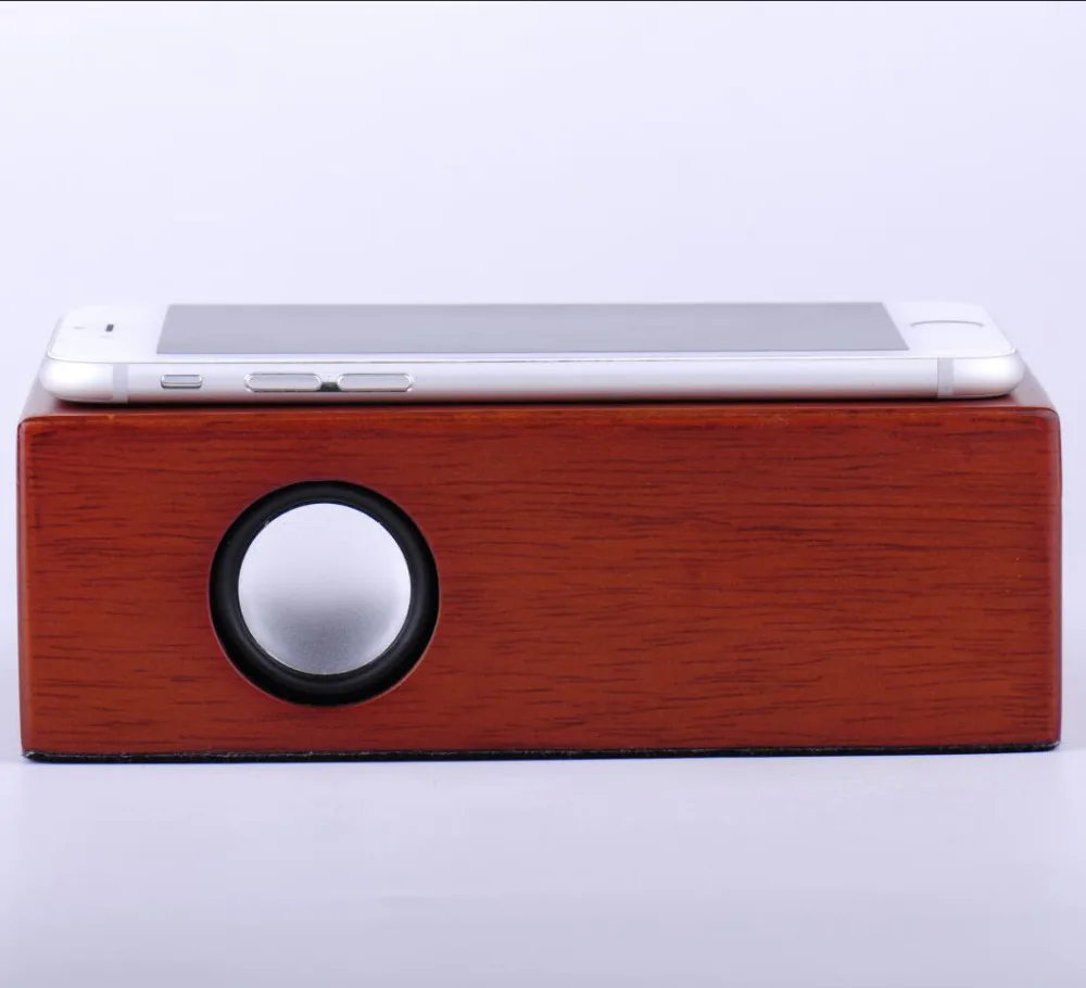 portable speaker (5)