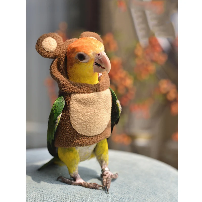 

Customized Parrot Clothes, Hats and Guards, Bear Style Bear bird carrier pet supplies bird