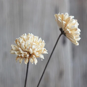 

2 Pieces Calliopsis Natural Plant Material Handmade Combination Art Flower With Malleable Iron As Rod Dried Flower Home Decor