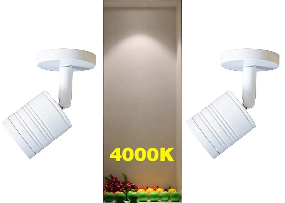 51w91vruxrL._SL1000_
