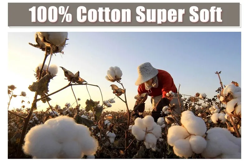 cotton-short-x800