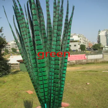 

Wholesale 50 / lot of beautiful green pheasant Tail feathers 16-18 inches / 40-45 cm Free Shipping
