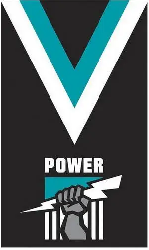 Afl Port Adelaide Power Flag 3x5 Ft 150x90cm Banner 100d Polyester