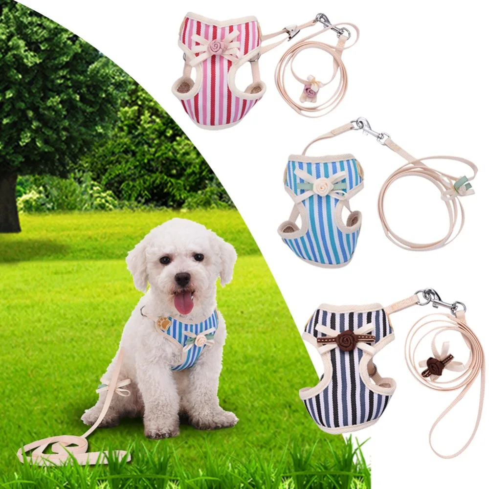 cute male dog harness
