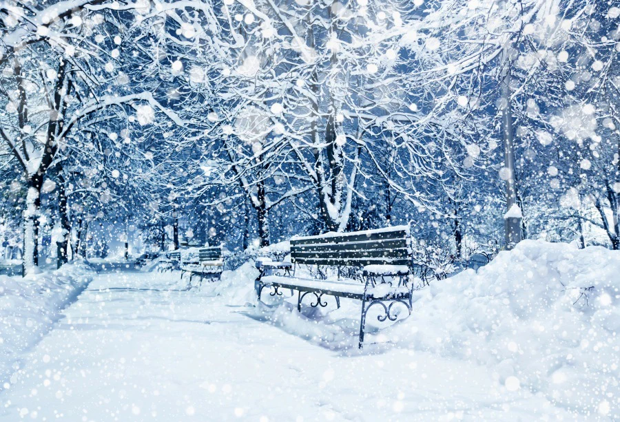 

Laeacco Winter Snow Park Trees Bench Bokeh Scenic Photography Backgrounds Customized Photographic Backdrops For Photo Studio