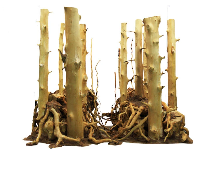 TB25O6ZthWYBuNjy1zkXXXGGpXa_!!611006483