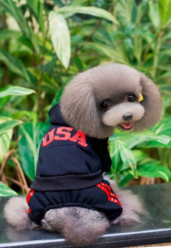США письмо с капюшоном стиль свитер для домашних собачек пальто через CPAM Собаки Одежда