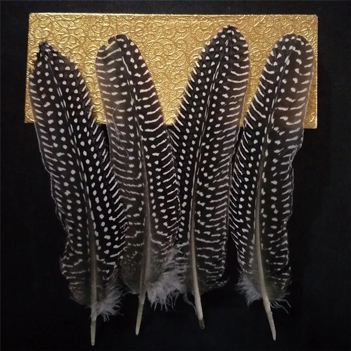 pearl pheasant feathers 1 (10)
