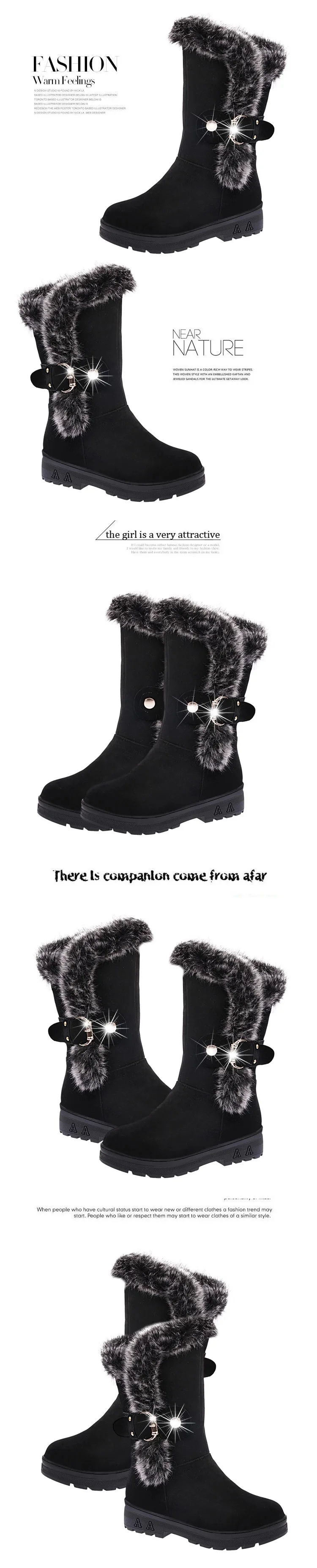 5750918904_1624639172