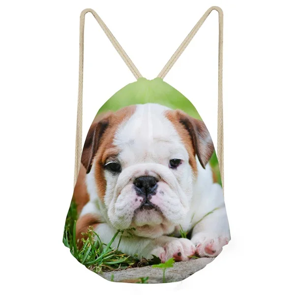 ThiKin Симпатичные 3D собака-Мопс Печати Drawstring сумки повседневные Мягкие школьные книги Сумки для женщин мужчин и девочек школьные сумки для мальчиков - Цвет: As Pictures